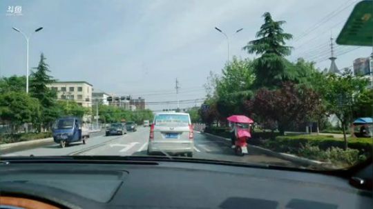 信阳向桥水库抓鱼 2019-04-30 09点场