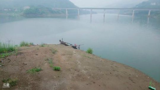 180斤鱼货已完成172斤第5天， 2019-05-06 11点场