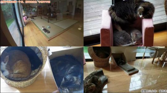 HHHISHHH发布了一个斗鱼视频2019-05-06