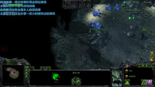上午没事伐木合作 2019-05-07 11点场