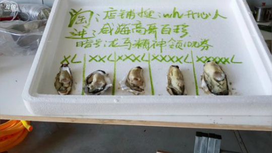 西北老狼哥哥发布了一个斗鱼视频2019-05-07