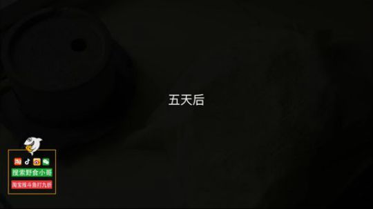 August丶21th发布了一个斗鱼视频2019-05-07