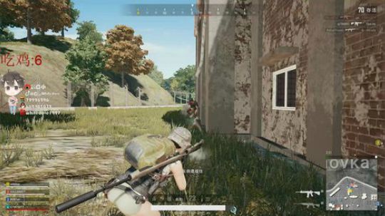 我在斗鱼看小白鸽whitedove直播吃鸡游戏