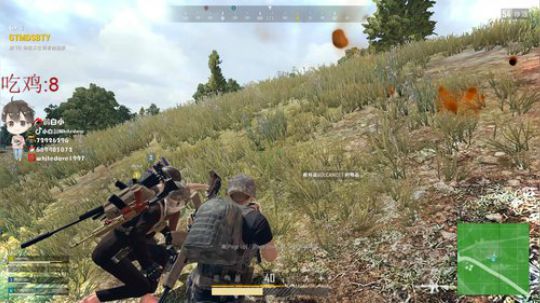 我在斗鱼看小白鸽whitedove直播吃鸡游戏