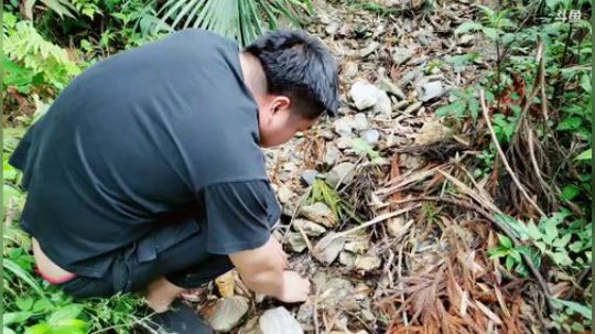 上山做饭(≧ω≦)/ 2019-05-05 16点场