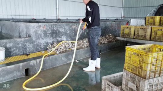 西北老狼哥哥发布了一个斗鱼视频2019-05-08