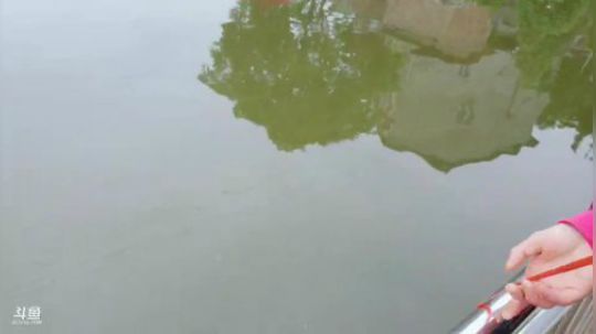 聚会地址四川仁寿县观寺镇 2019-05-08 15点场