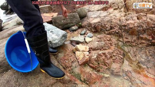 liyunanhj发布了一个斗鱼视频2019-05-08