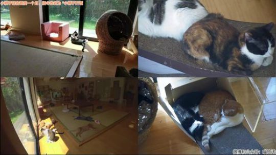 HHHISHHH发布了一个斗鱼视频2019-05-07