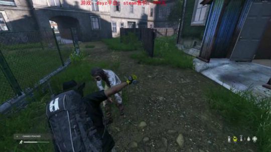 dayz0.12大冒险 2019-05-07 21点场