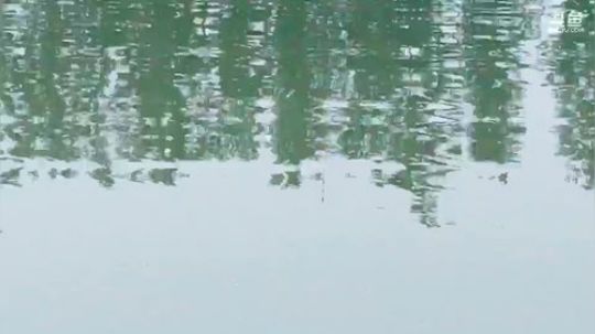狼人杀新手教学 260228 2019-05-05 08点场
