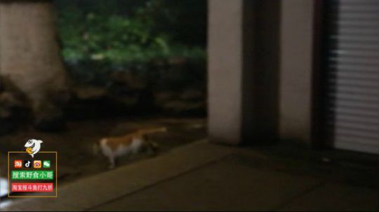 韩贤俊发布了一个斗鱼视频2019-05-08