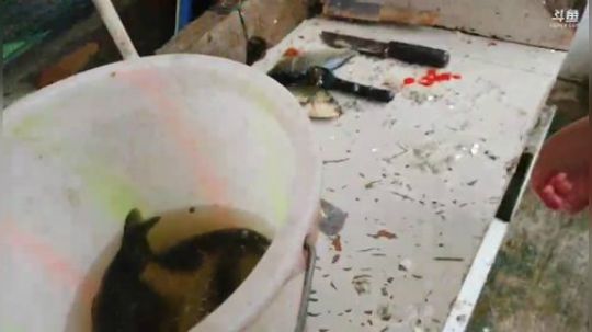 聚会地址四川仁寿县观寺镇 2019-05-08 17点场