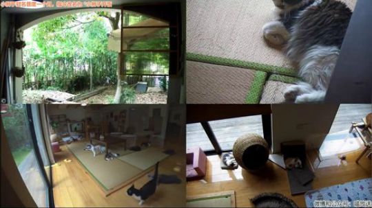 HHHISHHH发布了一个斗鱼视频2019-05-08