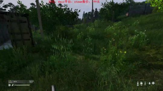 dayz0.12大冒险 2019-05-08 20点场