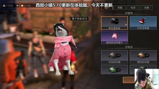 【5.9版本更新】哈士奇犬类详情