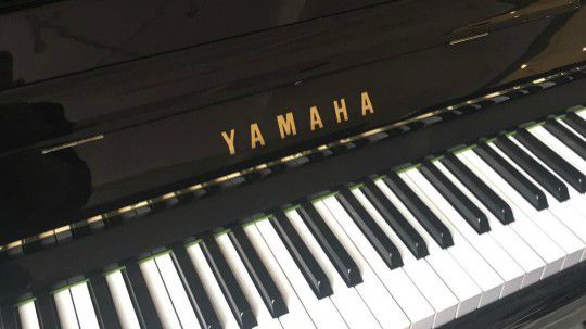 尧尧老师、快乐钢琴课