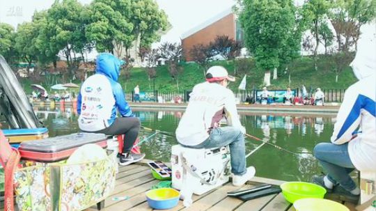 湖北钓鲫精英赛洈水旅游杯 2019-05-10 16点场