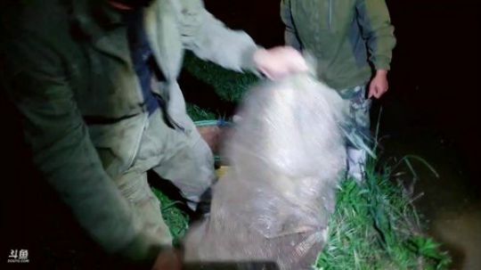 徒手摸甲鱼（目标3个） 2019-05-09 19点场