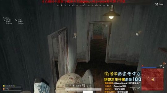 【错觉老中医】双排11杀吃鸡