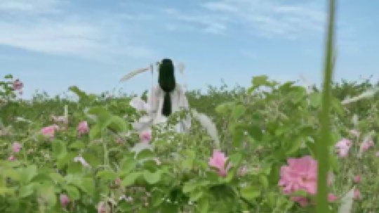 小甜甜fairy发布了一个斗鱼视频2019-05-10