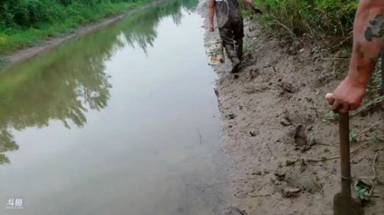 徒手摸甲鱼（目标3个） 2019-05-09 15点场