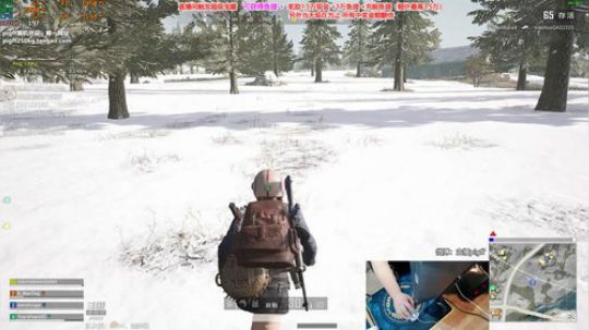 我在斗鱼看pigff直播绝地求生