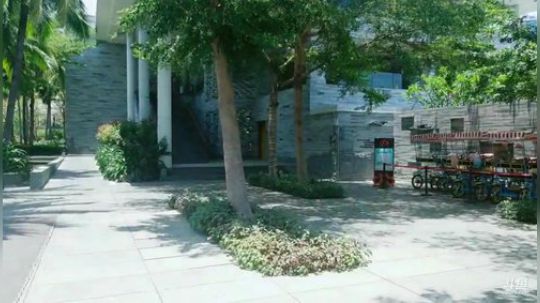 户外遛狗王飞哥发布了一个斗鱼视频2019-05-10