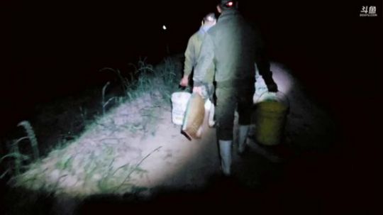 徒手摸甲鱼（目标3个） 2019-05-09 21点场