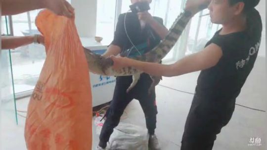 聚会地址四川仁寿县观寺镇 2019-05-10 12点场