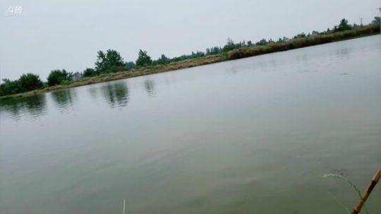 徒手摸甲鱼（目标3个） 2019-05-09 11点场