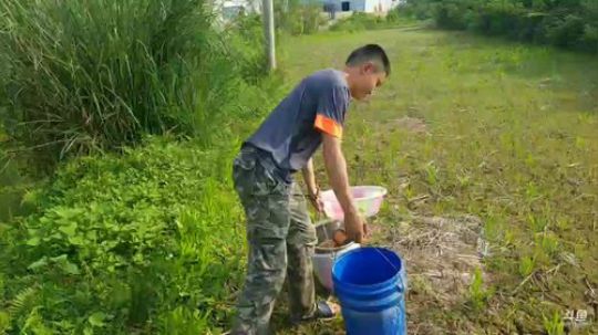 龙虾收割机开整啦 2019-05-10 16点场