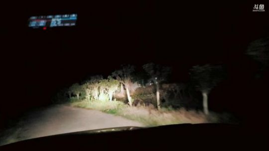 收地龙环节 2019-05-08 21点场