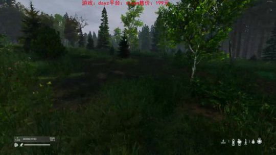 dayz0.12大冒险 2019-05-10 18点场