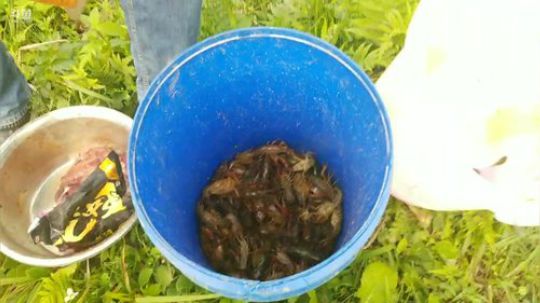 哆啦爱梦梦发布了一个斗鱼视频2019-05-11