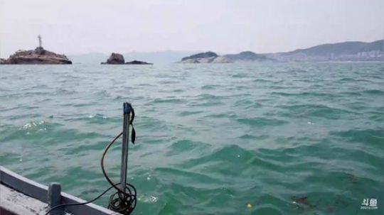 西北老狼哥哥发布了一个斗鱼视频2019-05-11