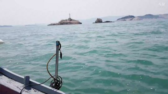 西北老狼哥哥发布了一个斗鱼视频2019-05-11