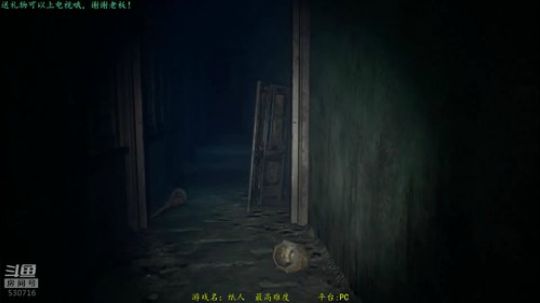 逍遥：恐怖游戏大串烧！让你心跳的直播！ 2019-05-11 15点场