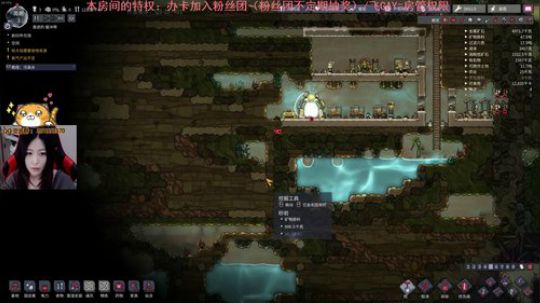 缺氧啦缺氧啦~12点后自走棋 2019-05-11 20点场