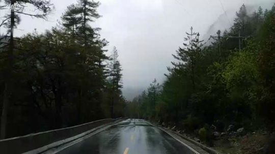 哆啦爱梦梦发布了一个斗鱼视频2019-05-13