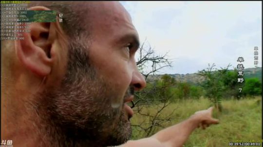 户外遛狗王飞哥发布了一个斗鱼视频2019-05-13