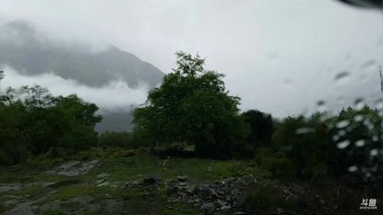 K一DASH发布了一个斗鱼视频2019-05-13