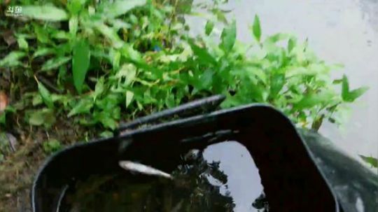 涨水了把地笼收回家再去水库 2019-05-13 09点场