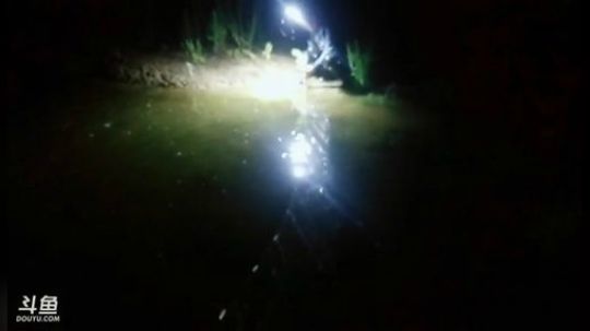 抓点鱼儿，再做美食 2019-05-13 20点场