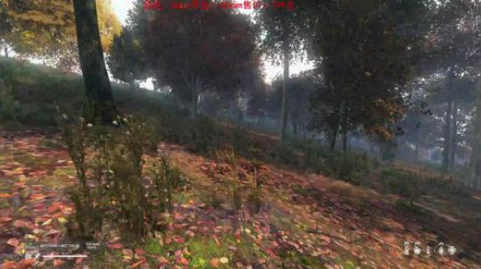 dayz0.12大冒险 2019-05-12 20点场