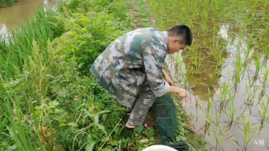 哆啦爱梦梦发布了一个斗鱼视频2019-05-14