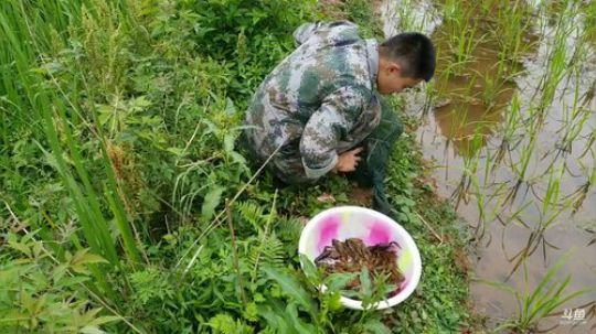 哆啦爱梦梦发布了一个斗鱼视频2019-05-14