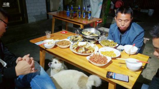 抓点鱼儿，再做美食 2019-05-13 23点场