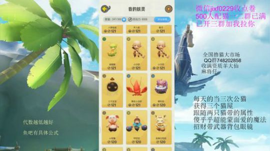 猫市场是不是又要繁荣了