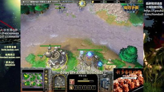 我在斗鱼看大帝LioN直播魔兽争霸